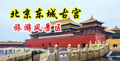 黑人大鸡巴插入女人下体视频中国北京-东城古宫旅游风景区
